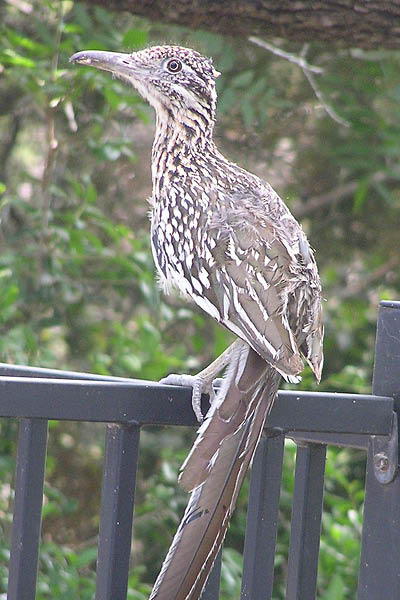 B0002184_edited
