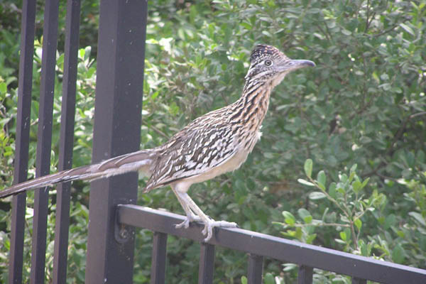 B0002188_edited