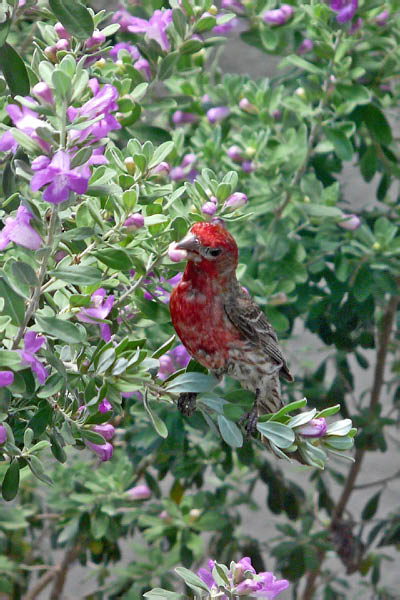 P1020263_edited