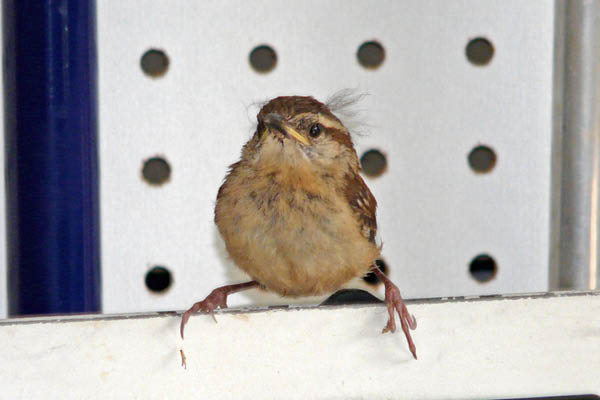 P1050345_edited