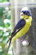 100B1793_edited-1