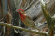 100_0113_edited-1