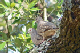 100_0328_edited-2