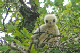 100_0451_edited-4