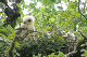 100_0457_edited-1