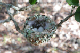 100_0510_edited-1