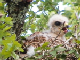 100_0533_edited-1