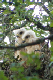 100_0558_edited-1
