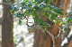 100_0723_edited-2