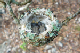 100_0789_edited-1