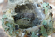 100_0835_edited-2