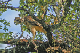 100_0846_edited-2