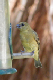 100_0886_edited-1