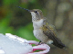 100_1104_edited-2