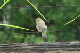 100_1167_edited-1
