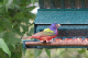100_1179_edited-2