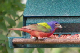 100_1180_edited-2