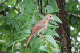 100_1181_edited-1