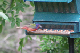 100_1319_edited-1