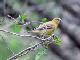 100_1395_edited-1