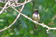 100_1511_edited-2