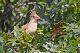100_1517_edited-2