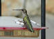 100_1641_edited-1