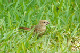100_1644_edited-1