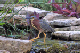 B0001405_edited