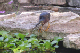 B0001422