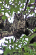 B0002130_edited