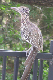 B0002184_edited