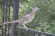 B0002188_edited