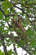 P1010259_edited