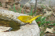 P1010837_edited
