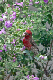 P1020263_edited