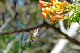 P1040163_edited