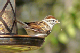 P1040531_edited