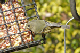 P1040543_edited