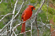 P1040636_edited