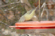 P1040675_edited