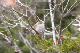 P1040717_edited