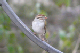 P1040737_edited