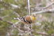 P1040743_edited