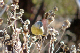 P1040788_edited