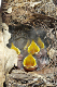 P1050169_edited