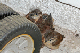 P1050190_edited
