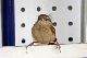 P1050345_edited