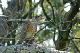 P1050759_edited