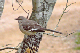 P1060792_edited
